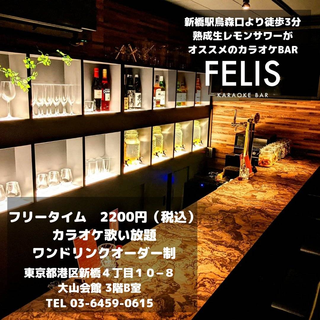 新橋カラオケバーFELIS（フェリス）