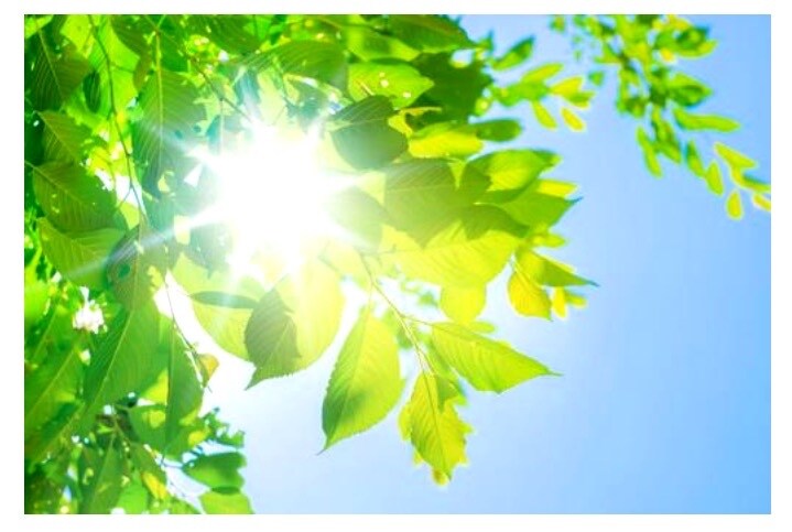 〜この時期の過ごし方【春☆清明】〜