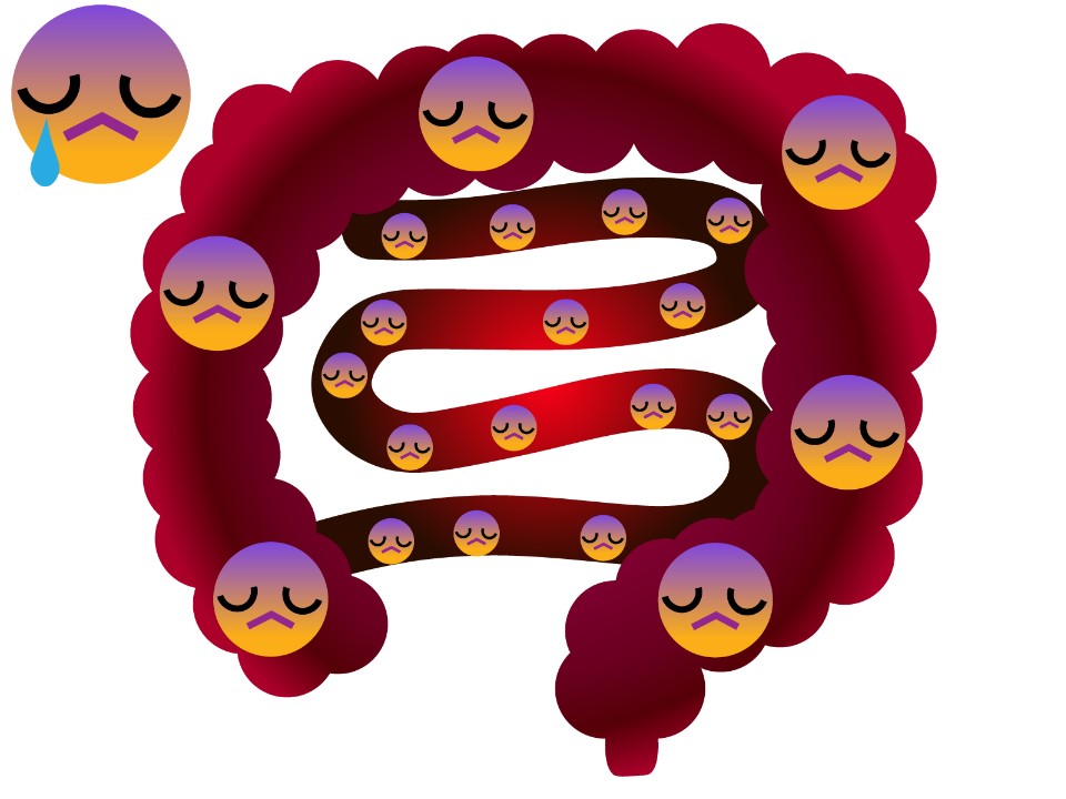 最強の腸活ファスト食材とスロー食材