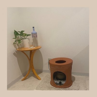 夏こそ黄土よもぎ蒸し!!