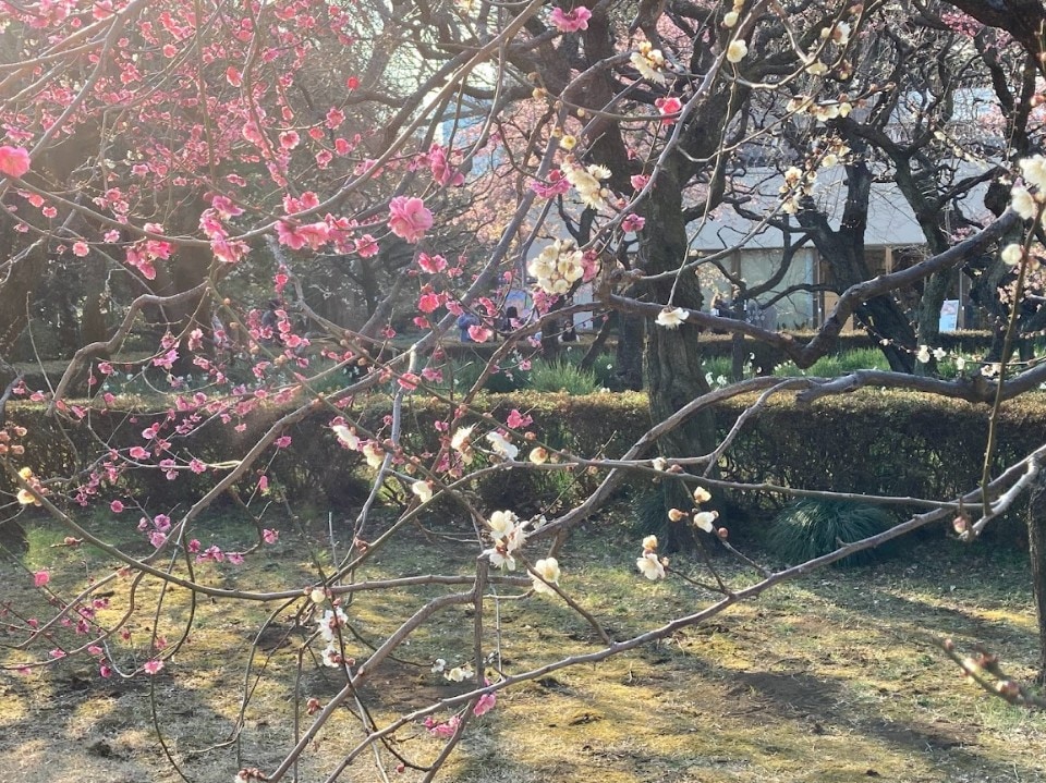 紫外線に注意！