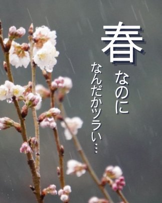 🌸春なのに、なんだかツラい…寒暖差が心と体をゆらす季節