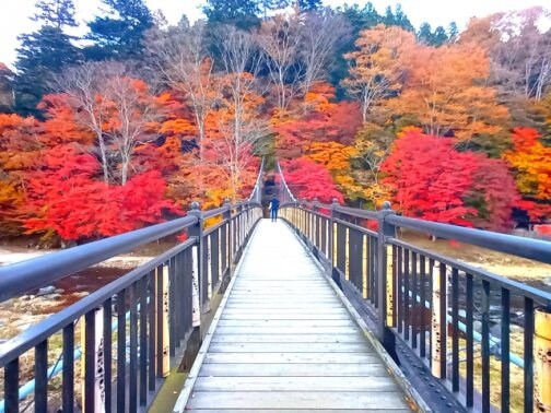 紅葉散歩をもっと美しく｜小顔矯正と歪み改善で冷えとむくみ解消