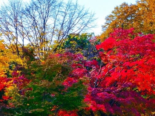 秋の寒暖差でむくみや疲れに悩む女性へ｜小顔・美姿勢整体で改善