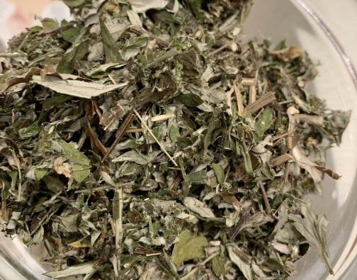 伊吹山のよもぎが入荷しました