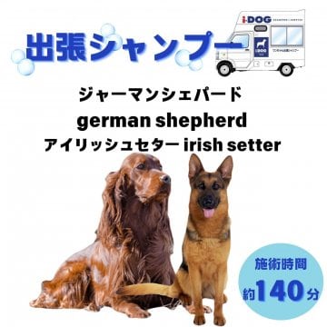 ジャーマンシェパード/アイリッシュセターのシャンプー(140分)|オープン記念価格