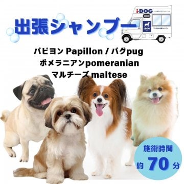 パピヨン/ポメラニアン/パグ/マルチーズのシャンプー(70分)|オープン記念価格