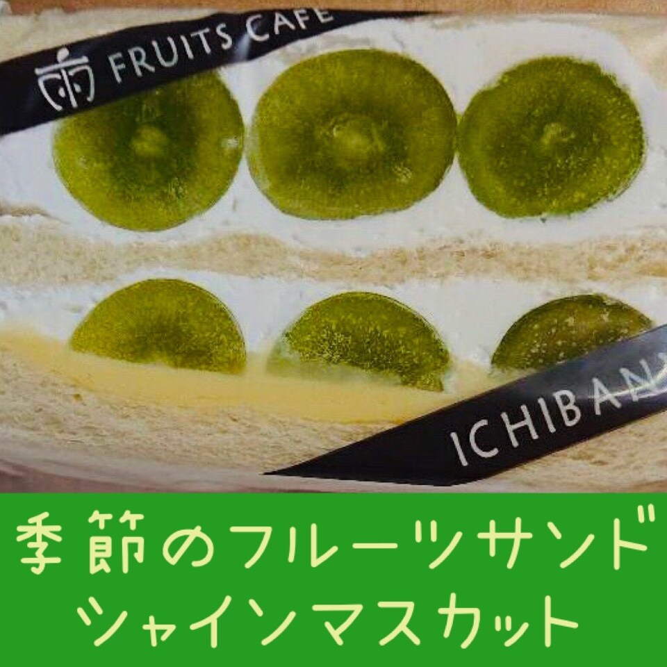 【近鉄百貨店/上本町店】9/18〜9/24催事出店いたします♪