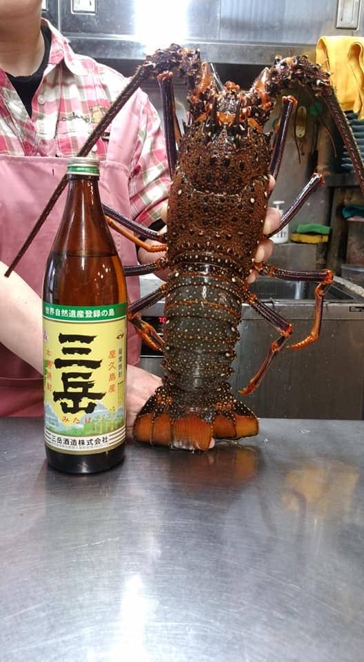 1年の自分たちへのご褒美に♪