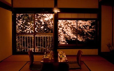 夜桜のライトアップ始まりました!