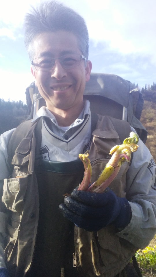 山菜収穫しました¡