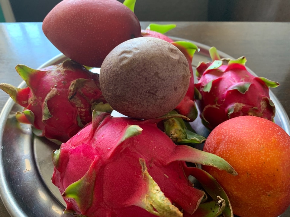 夏のフルーツ三天王・ビフォーアフター