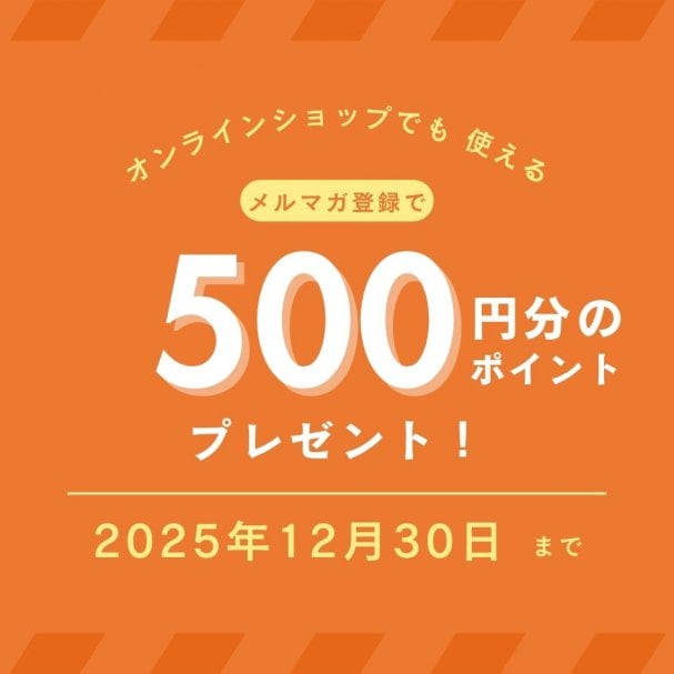 500円分のポイントプレゼント