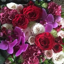 お誕生日月おめでとうございます|施術5000円割引き|新しい年齢になっても輝いてください|セレブが通う白金アロマエステビーナスサロン