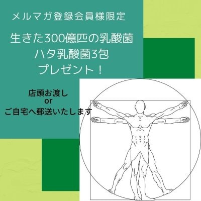 【メルマガ特典】腸から健康に！生きた300億匹の乳酸菌【ハタ乳酸菌】3包をプレゼントします。