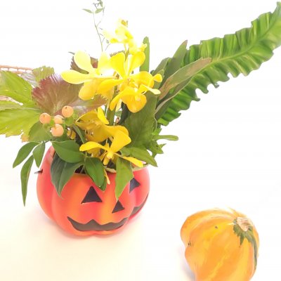 マルシェ来場者限定　ハロウィンお菓子プレゼント