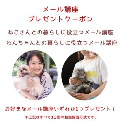 メール動画講座プレゼントクーポン「犬｜猫の暮らし方＆しつけ方」