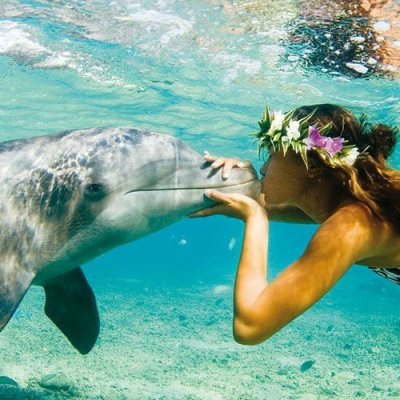 【お１人様１回限り】不登校、登校渋りなど新生活に不安があるお子さんをお持ちの保護者さん向け　３０分お話会チケット