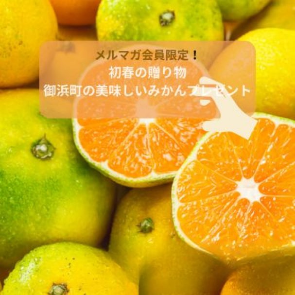 メルマガ会員限定クーポン 🍊 御浜町のみかんプレゼントクーポン