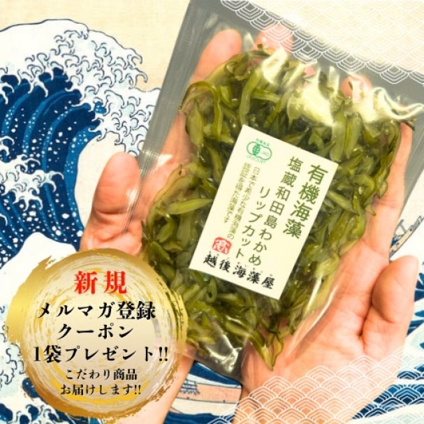 【数量限定】希少なオーガニックわかめ「塩蔵有機和田島わかめリップカット50ｇ」プレゼント