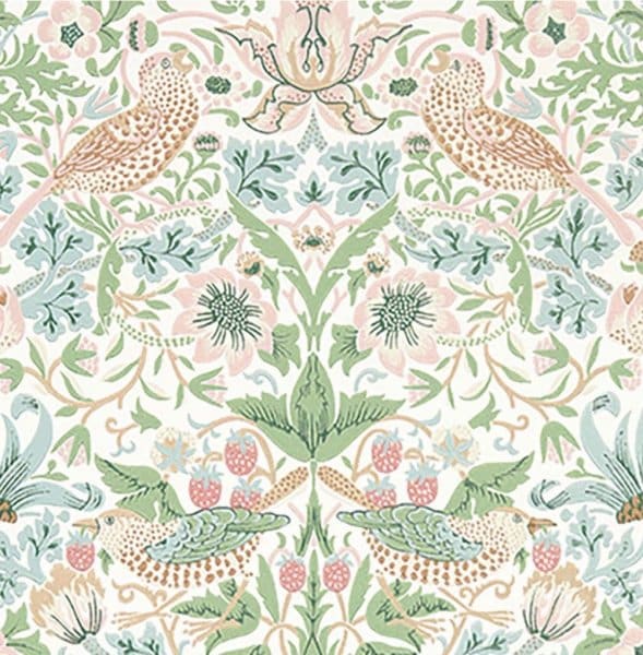 新規メルマガご登録いただいた方に、100p（ツクツク全国約15000店舗で使える）をプレゼント致します！