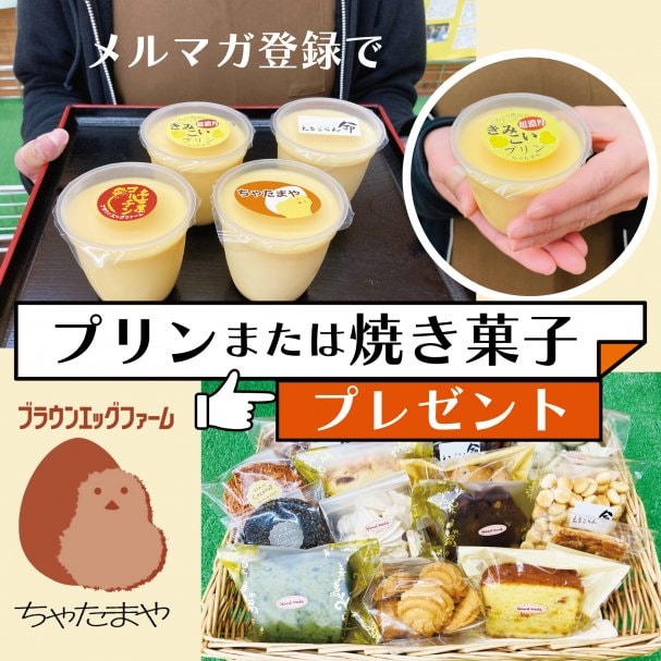 【選べる♪】濃厚たまごを使ったプリン/焼き菓子無料クーポン