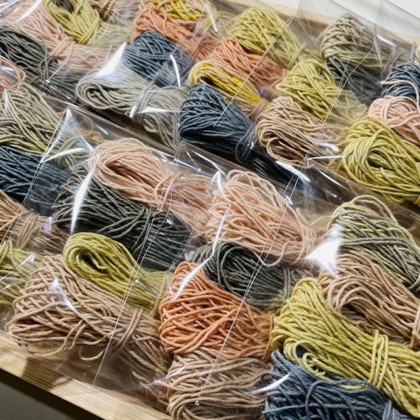 特典プレゼントクーポン