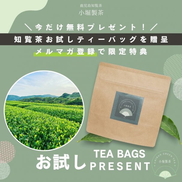 【新茶お試しティーバック】一袋プレゼント！！