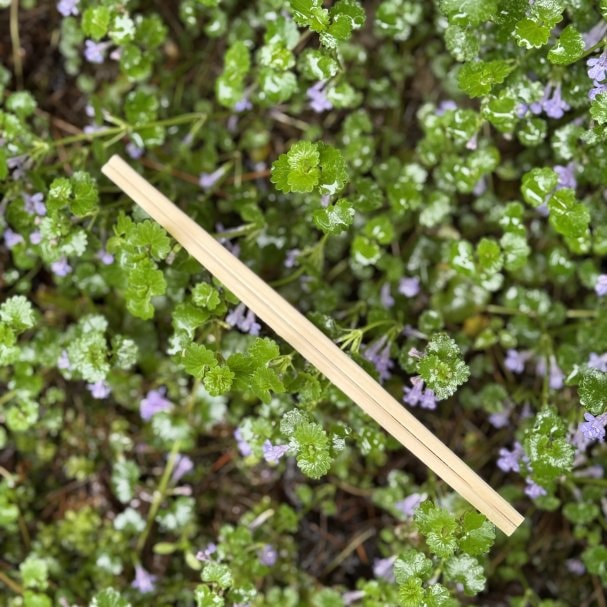 メルマガ登録クーポン☆【森の恵み割り箸】5膳プレゼント！！