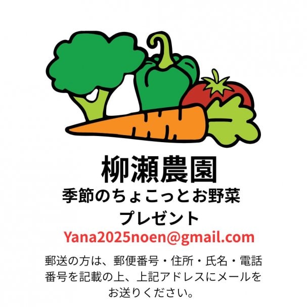 メルマガ購読でクーポンゲット‼