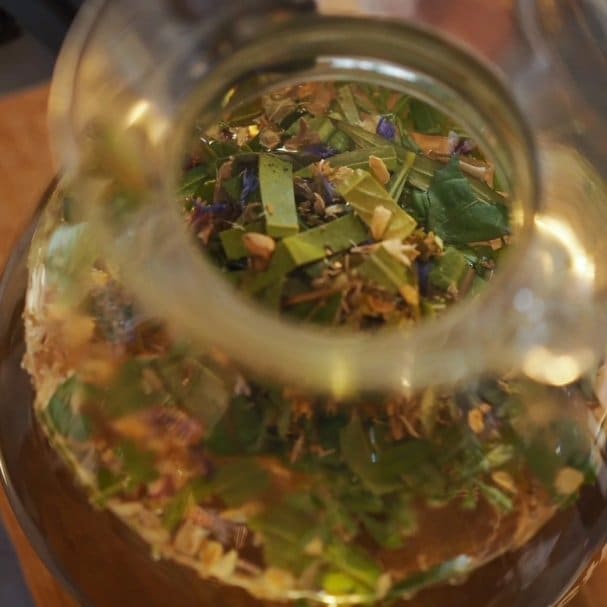 メルマガ登録時・初回サービス｜自家栽培したハーブで行うハーブリンス