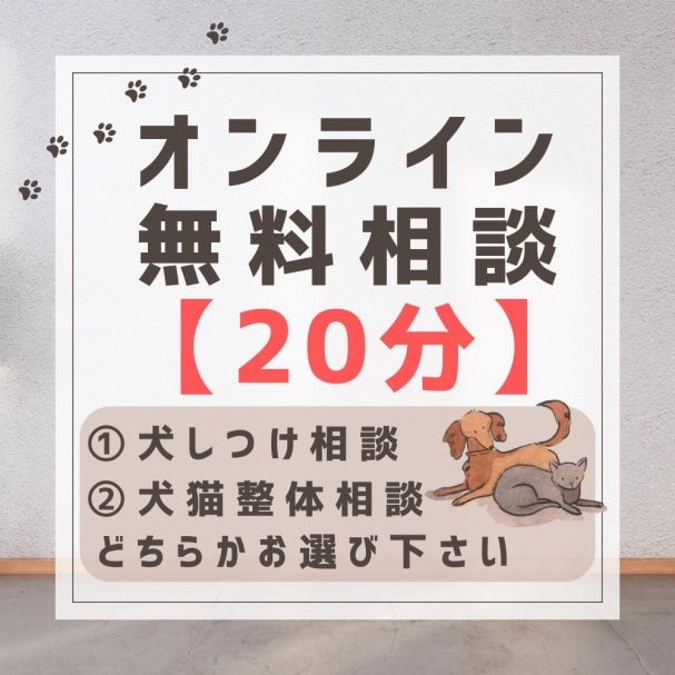 オンライン相談20分無料
