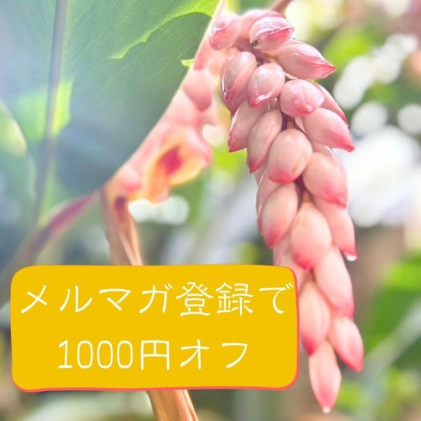 coupon_thumnail
