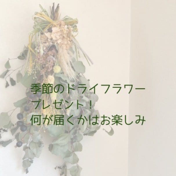 【メルマガ登録で】季節のドライフラワープレゼント♪