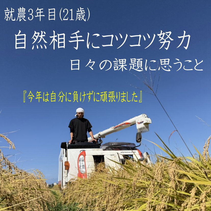 お米や庄七 通販オンラインショップ 岩船産コシヒカリ荒川米専門店