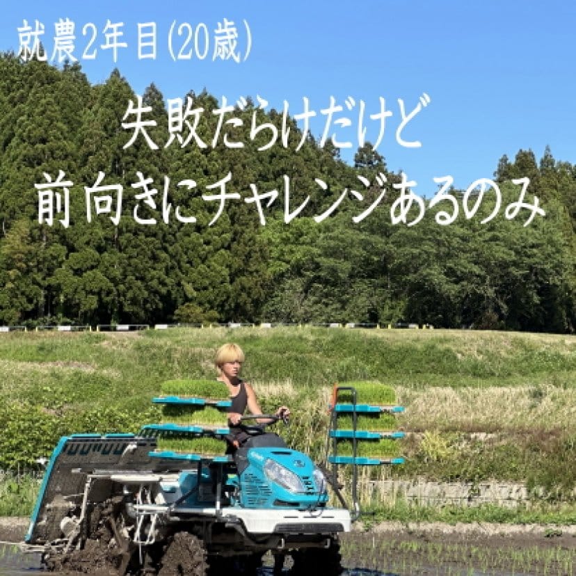 お米や庄七 通販オンラインショップ 岩船産コシヒカリ荒川米専門店