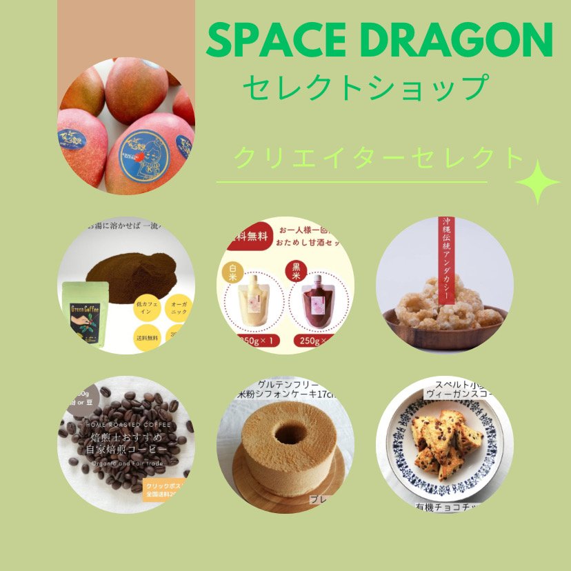 SPACE DRAGON（スペース ドラゴン）