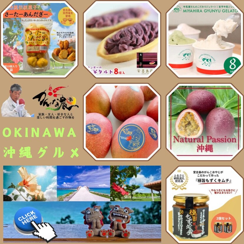 SPACE DRAGON（スペース ドラゴン）