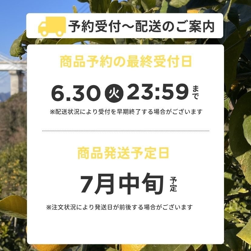 トッティレモン