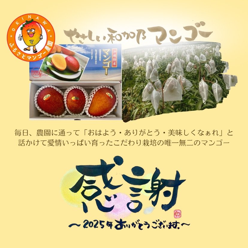 沖縄県名護市の波動整体院「やさしい整体かふぅ」