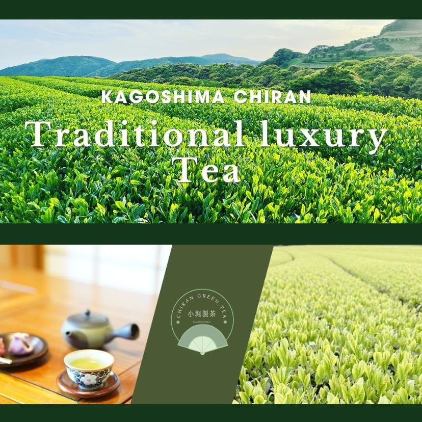 小堀製茶 ー こぼりせいちゃ ー 鹿児島茶・知覧茶専門
