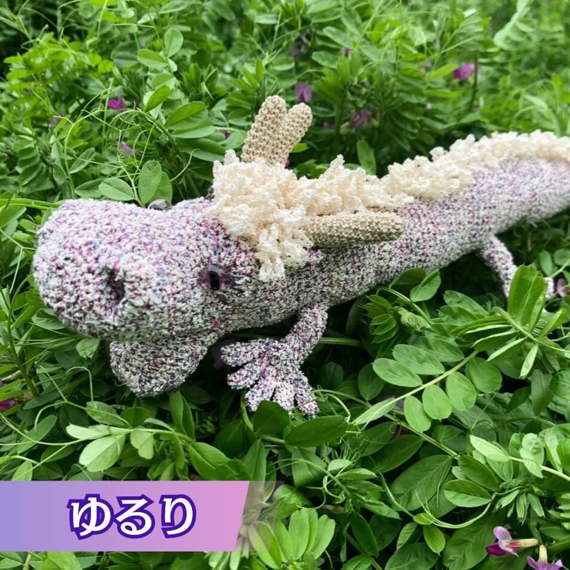 虹の龍幸せを連れてくる
