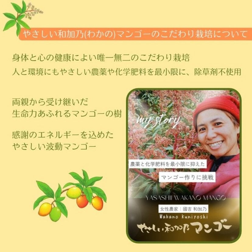ふるさとマンゴー農園