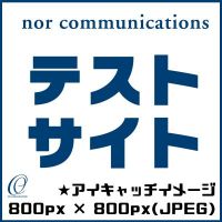 【★ショップ名称】NORCOM TEST