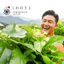 桑の葉茶なら桑郷／山梨から美味しい桑茶を全国へお届け！株式会社桑郷オフィシャル通販サイト