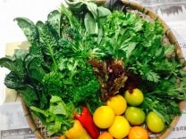 食農支援ショップ　あいの食の健康館