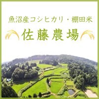 魚沼産コシヒカリ/佐藤農場