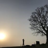 出張撮影 Le Lien Photo(ルリアンフォト)