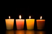 のんびり　スマートフォンアクセサリ