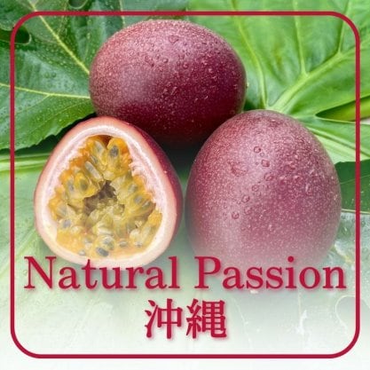 沖縄県産♪パッションフルーツ5㎏ 0000050856_ORG.jpg?=1790919778